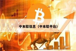 中本聪信息（中本聪平台）